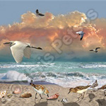 sandpiper beach souvenir gift products