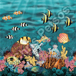 coral reef souvenir gift