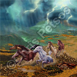 wild horses souvenir gift products